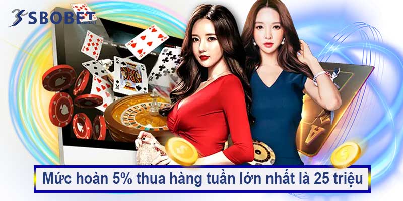 Mức hoàn 5% thua hàng tuần lớn nhất là 25 triệu